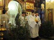 64816dd26d27362ff1762cb83819bbaf